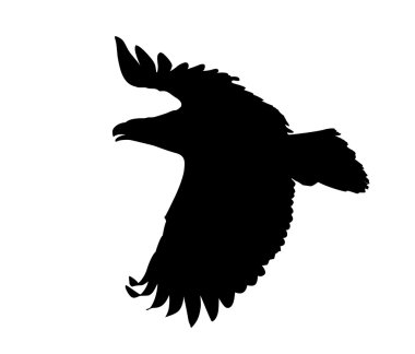 Eagle vector clipart