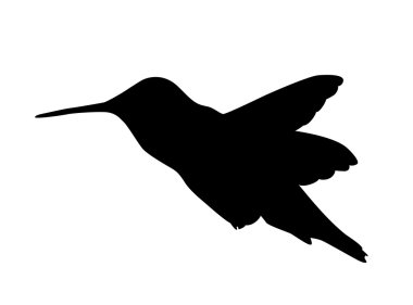 Vector hummingbird clipart