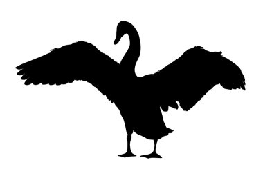 Vector, goose clipart