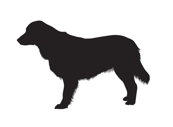Собака вектор — стоковий вектор