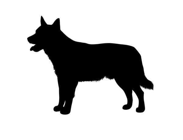 Vector de perro — Vector de stock