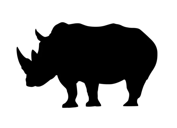 Vector Rhino — Vector de stock