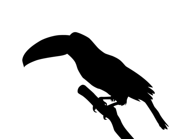 Crow vector — Stock Vector