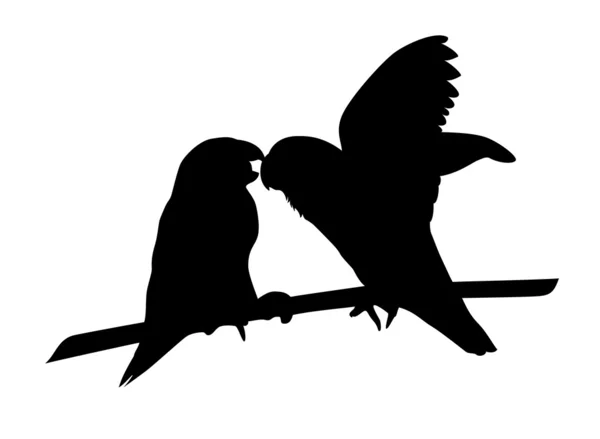 Perroquet vecteur — Image vectorielle