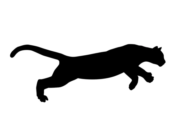 Vecteur, chat — Image vectorielle
