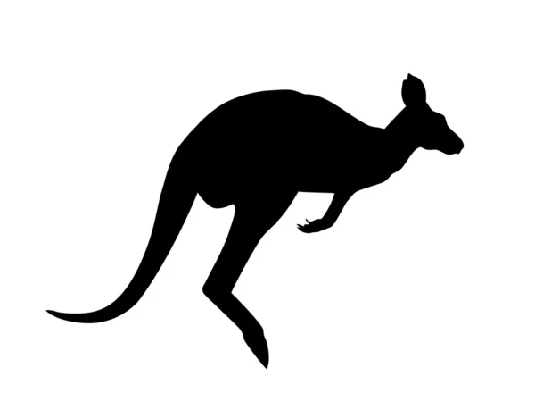 Vector, kangaroo — Stock Vector