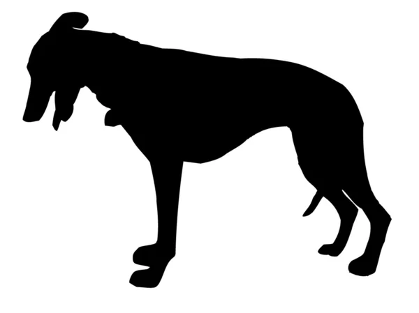 Vektor hund — Stock vektor