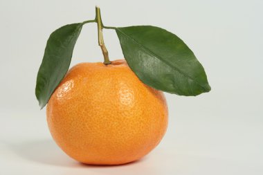 Fresh orange clipart