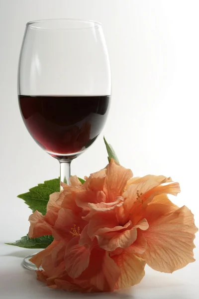 Red wine and flower