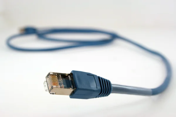 Cablu de rețea — Fotografie, imagine de stoc