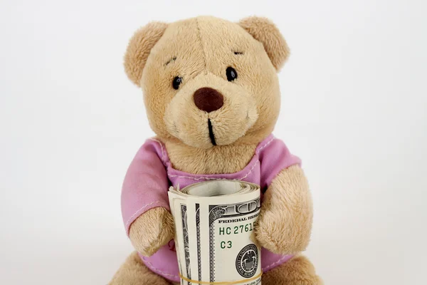 stock image Teddy and money