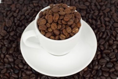 Kahve çekirdeği