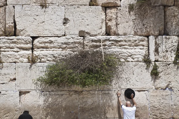 Orad en la muralla occidental — Foto de Stock