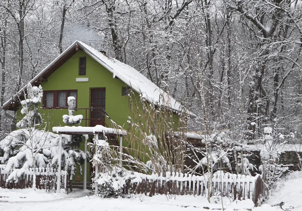 Зеленый дом — стоковое фото