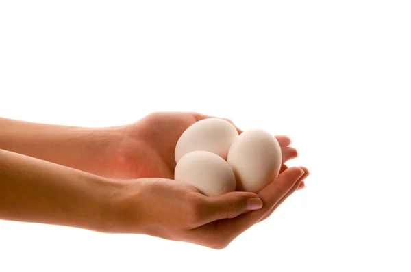 stock image A hand full of eggs