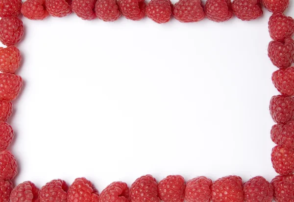 Raspberry Frame — Stock Photo, Image