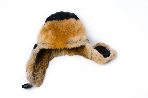 Stock image Leather Hat with Fur