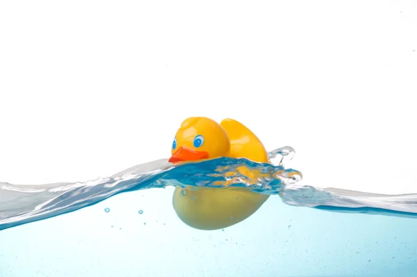 Резиновая утка в воде — стоковое фото