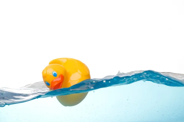 Suyun içinde plastik ördek — Stok fotoğraf
