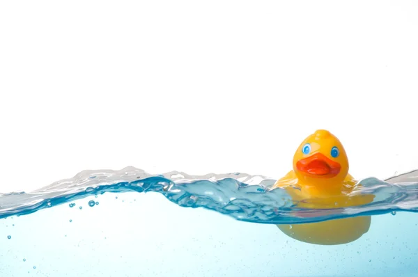 Canard en caoutchouc dans l'eau — Photo