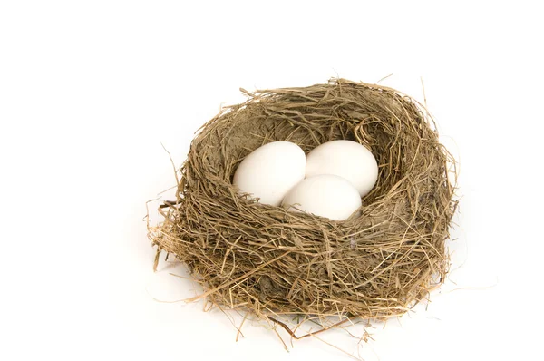 Tre uova in un nido — Foto Stock