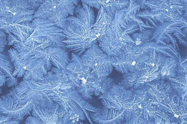 stock image Frost pattern on a window