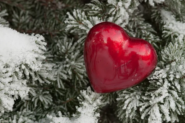 Coração vermelho na neve — Fotografia de Stock