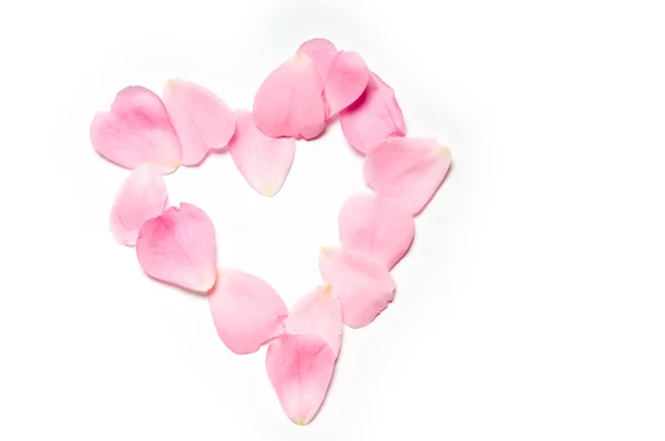 Corazón de pétalos de rosa — Foto de Stock