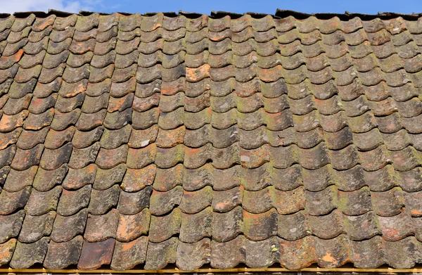 stock image Roof tiles