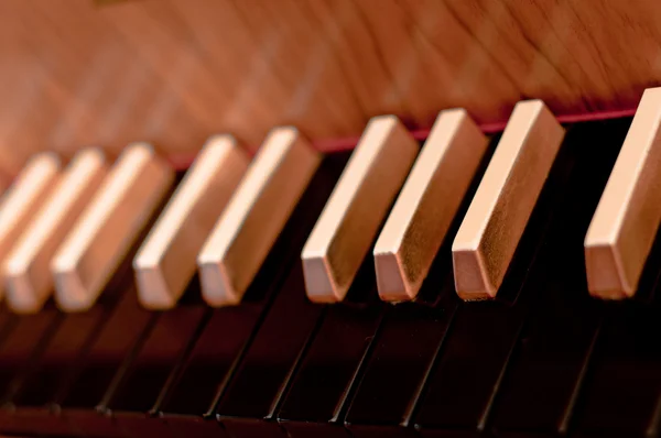大键琴键盘 — 图库照片