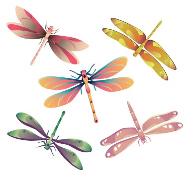 Dragonflies clipart