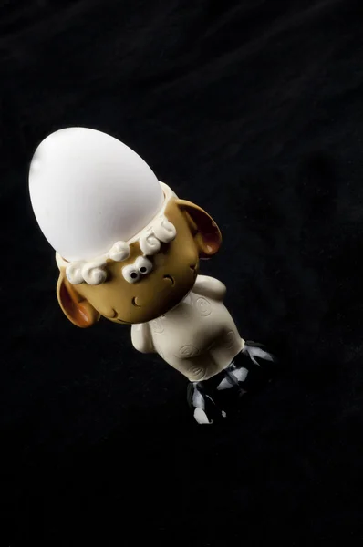 Egg on the sheep brain — Stock Photo, Image
