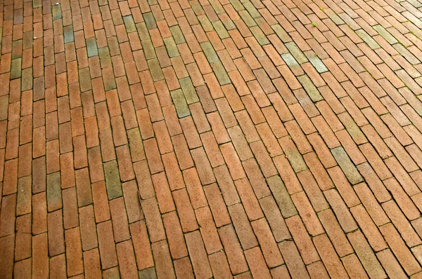 Rectangle and crossed concrete bricks — Stock Photo, Image