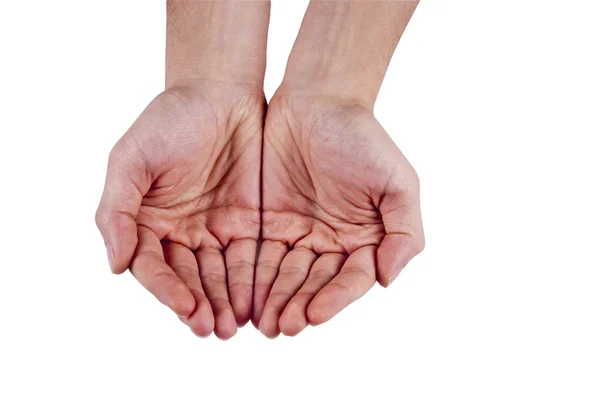Open Palm Young Male Hands — Stock Photo, Image