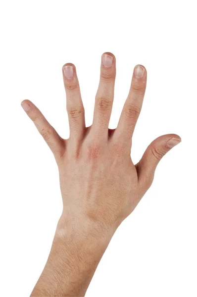 Человеческая рука делает номер пять на изолированном фоне — стоковое фото
