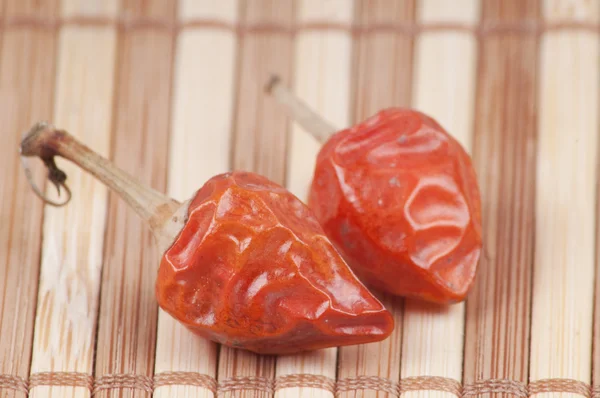 Close-up Red chilli papper — Stock Photo, Image