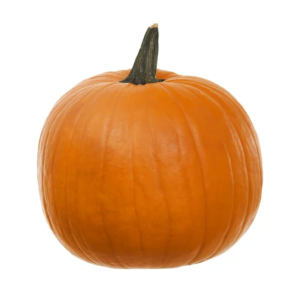 stock image Pumpkin