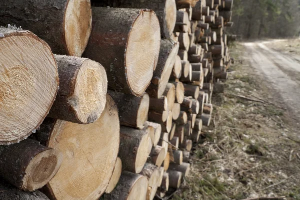 stock image Stack of wood