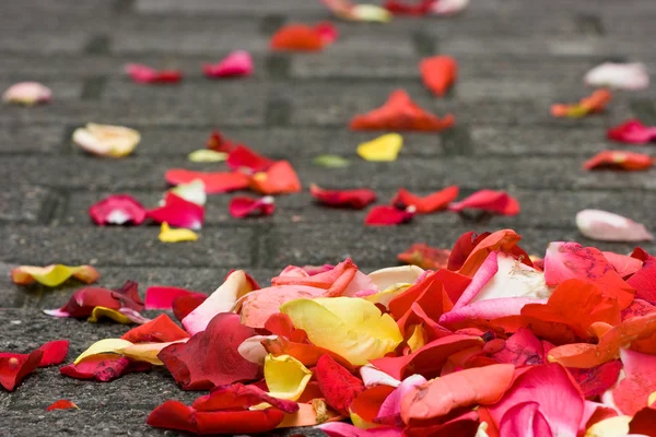 stock image Wedding flowers