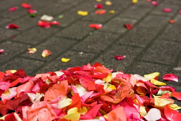 stock image Wedding flowers