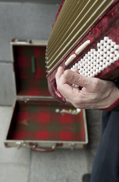 Man playing accordian — Stok fotoğraf