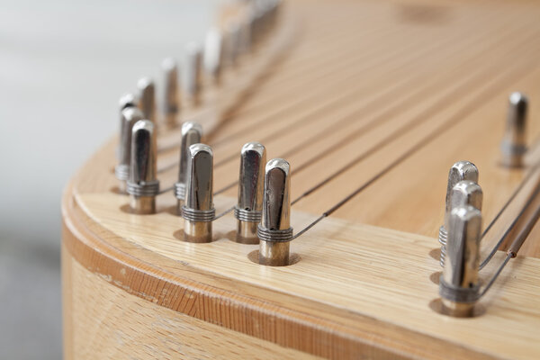 Литовский струнный инструмент
