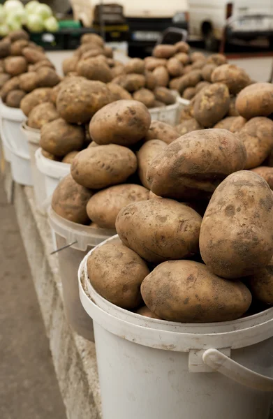 stock image Potato