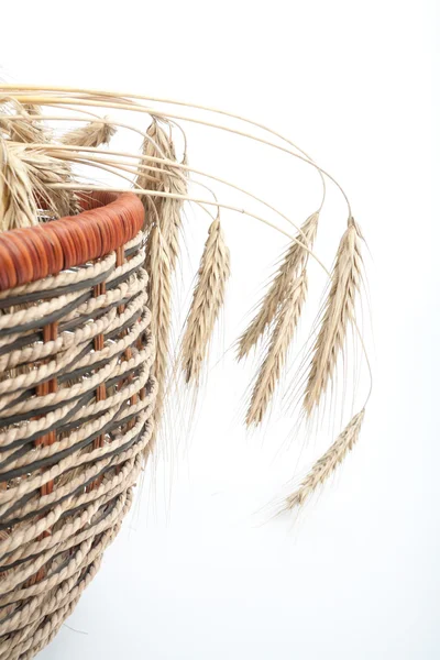 stock image Wheat on white