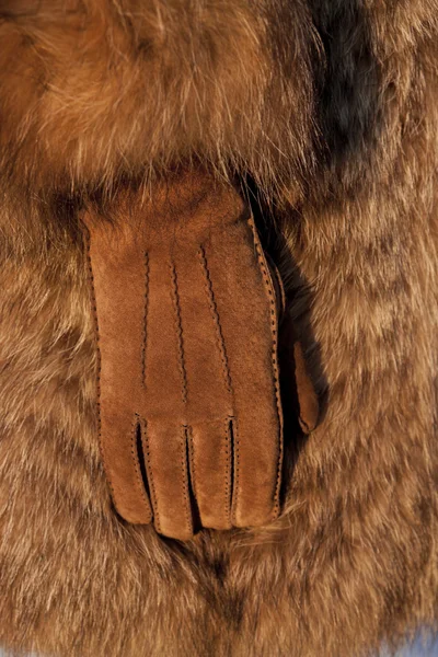 Indossare pelliccia in inverno freddo — Foto Stock