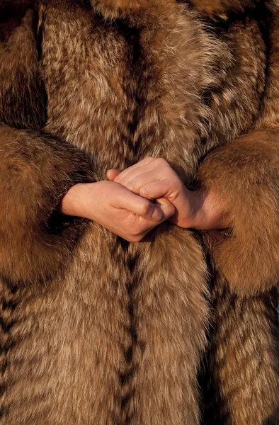 Noszenie futra w zimowe — Zdjęcie stockowe