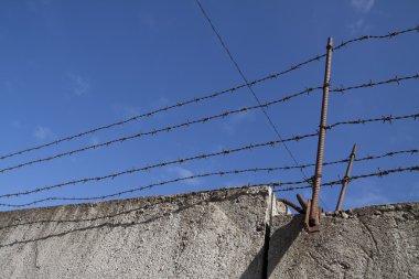 Barbed wires