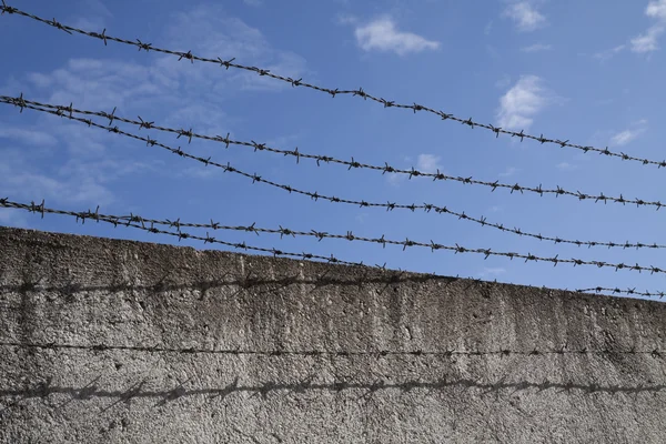 stock image Barbed wires