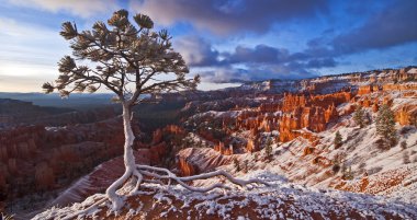 Bryce canyon clipart