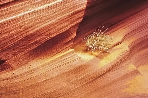 navajo kumtaşı üzerinde Tumbleweed